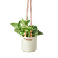 earthling sprouts, Pots & Accessories, pot plant, pot hanging planter, hanging plant pot