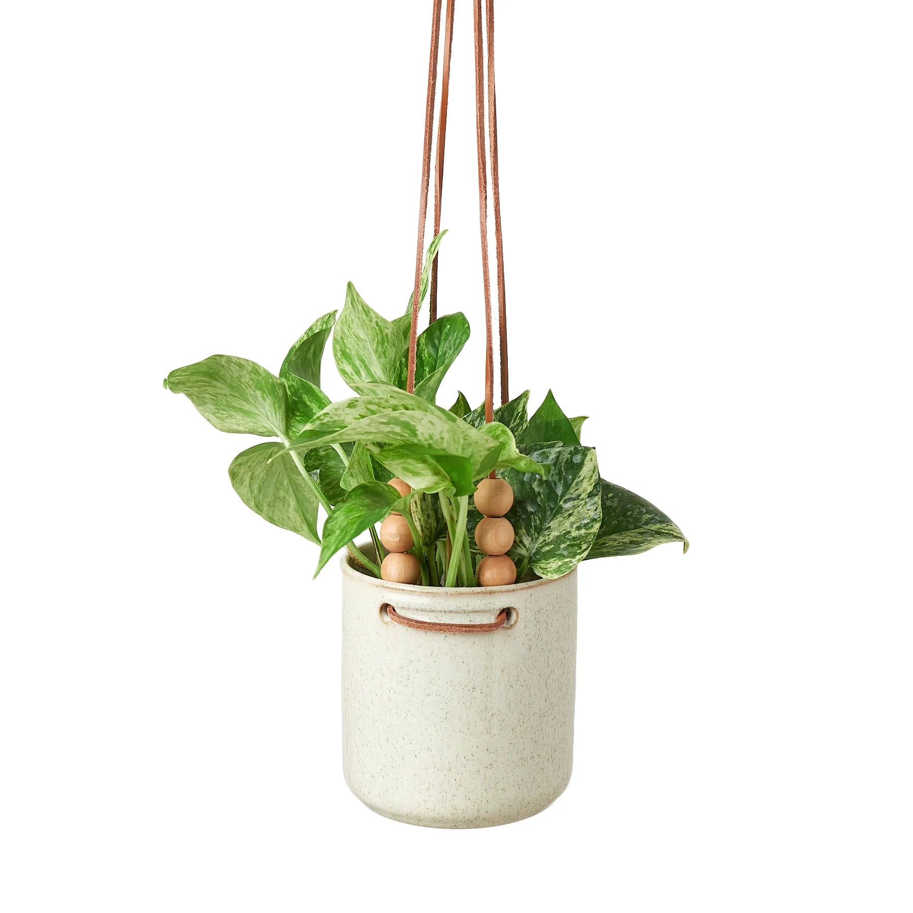 earthling sprouts, Pots & Accessories, pot plant, pot hanging planter, hanging plant pot